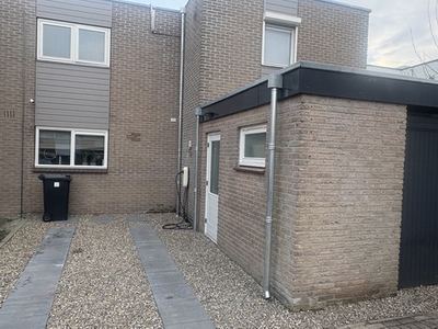 Regenpijpen