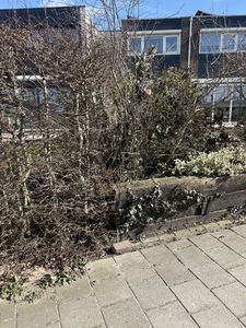 Tuin idee