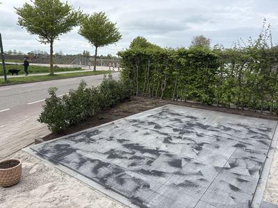 Planten
