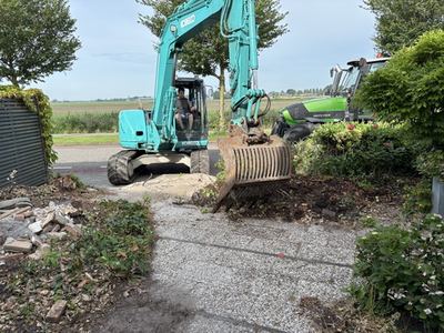 Tuin
