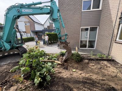 Tuin