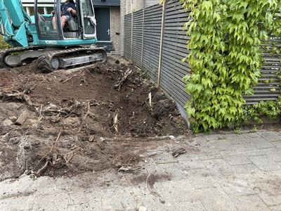 Tuin